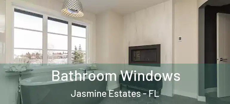 Bathroom Windows Jasmine Estates - FL