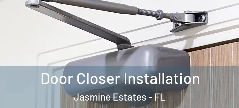Door Closer Installation Jasmine Estates - FL