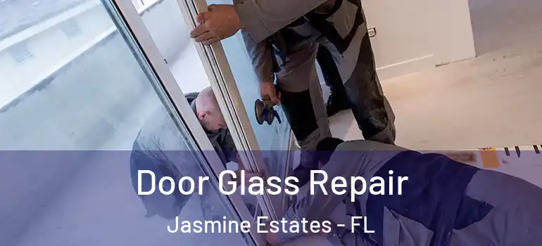 Door Glass Repair Jasmine Estates - FL