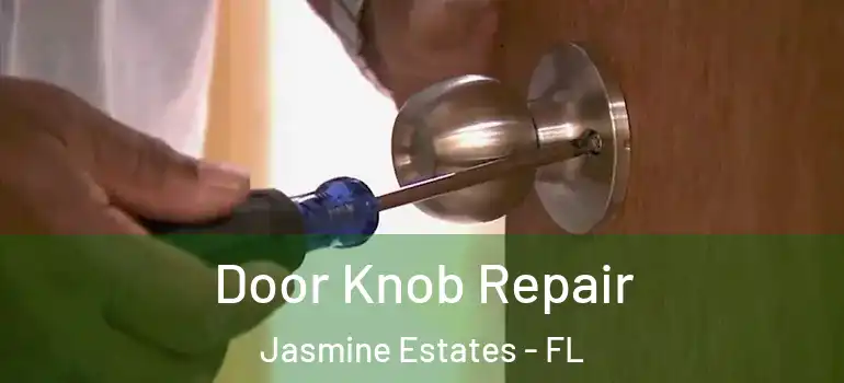 Door Knob Repair Jasmine Estates - FL