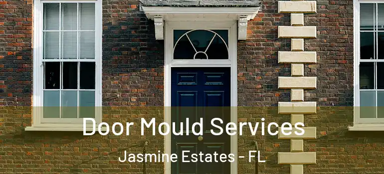 Door Mould Services Jasmine Estates - FL