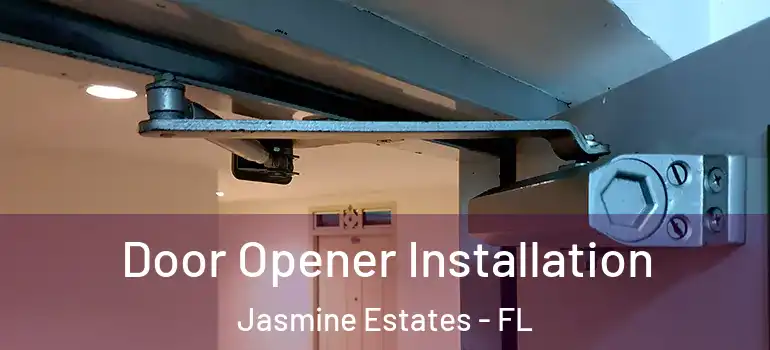 Door Opener Installation Jasmine Estates - FL