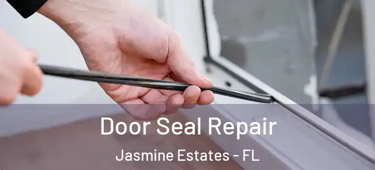 Door Seal Repair Jasmine Estates - FL