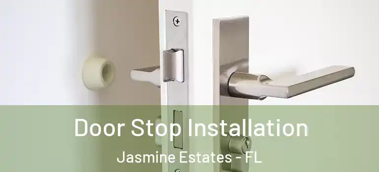 Door Stop Installation Jasmine Estates - FL
