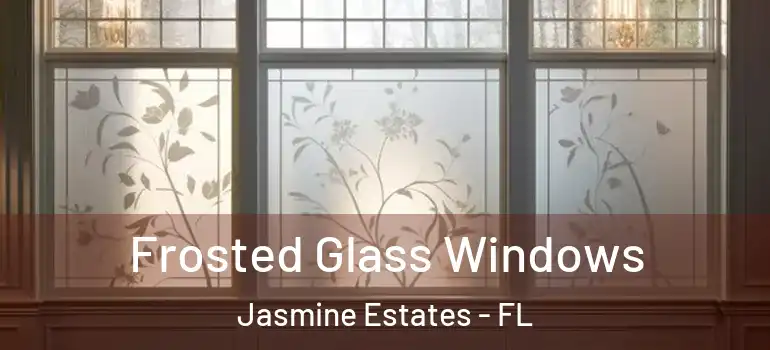 Frosted Glass Windows Jasmine Estates - FL