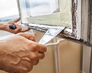 Professional Door and Windows Installation in Jasmine Estates, FL