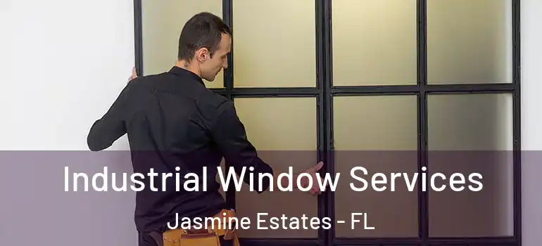 Industrial Window Services Jasmine Estates - FL