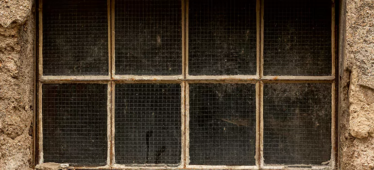 Traditional Double Front Doors in Jasmine Estates, FL