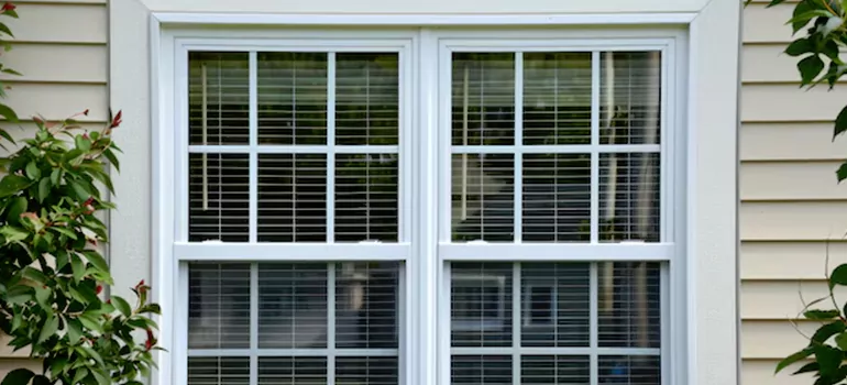 Custom Double Hung Windows in Jasmine Estates, FL