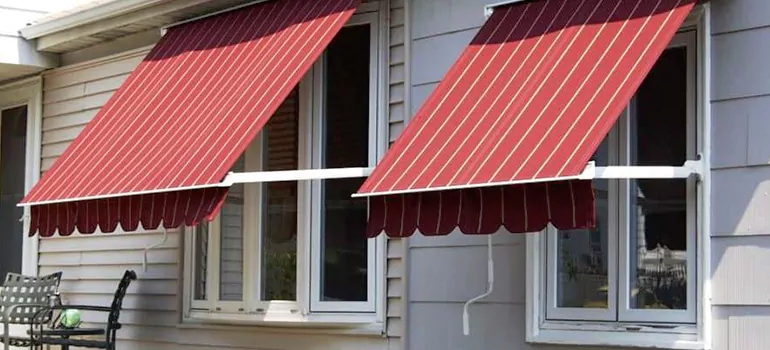 Government Rebate Window Replacement in Jasmine Estates, FL