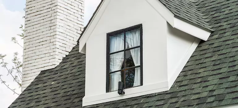 Roof Window Repair in Jasmine Estates, FL
