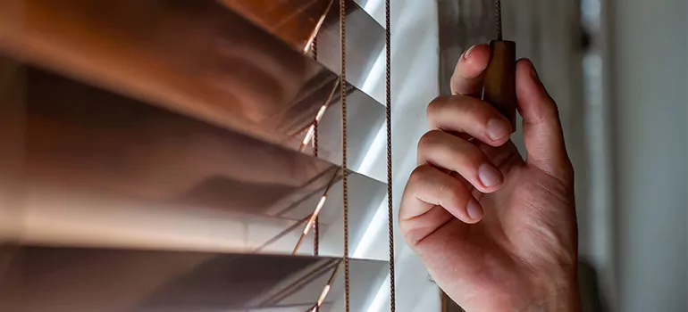 Double Roller Blinds in Jasmine Estates, FL