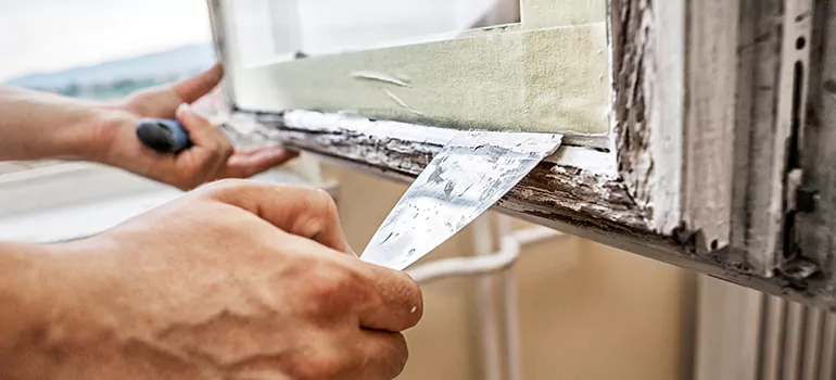 Exterior Window Frame Repair in Jasmine Estates, FL