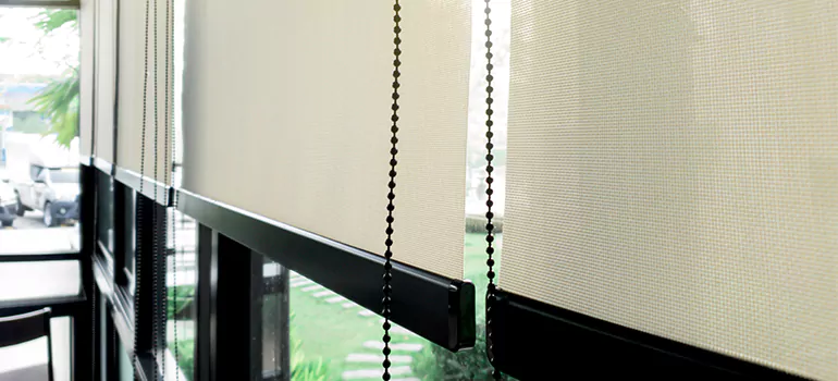 Blackout Window Shades in Jasmine Estates, FL