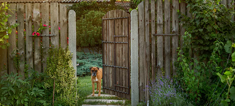 Winter Garden Garage Door Repair in Jasmine Estates,[location field=state]