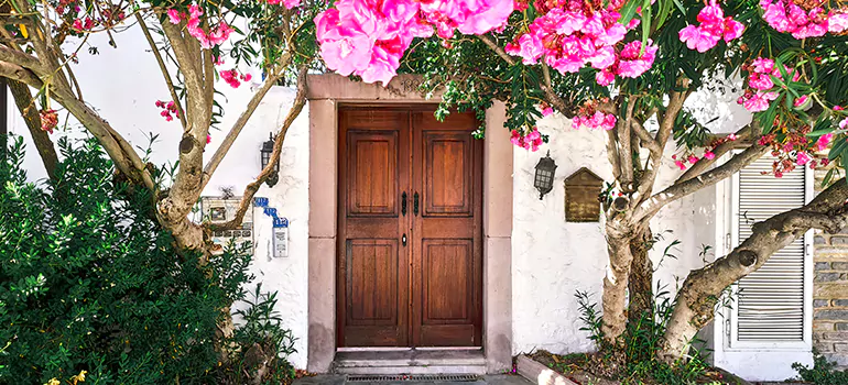 Traditional 4 Panel Internal Doors in Jasmine Estates, FL