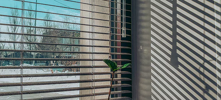 Commercial Window Blinds in Jasmine Estates, FL