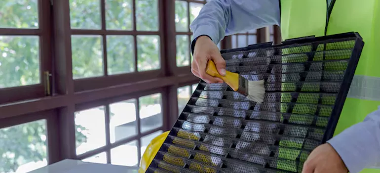 Traditional Window Grille Installation Options in Jasmine Estates, FL