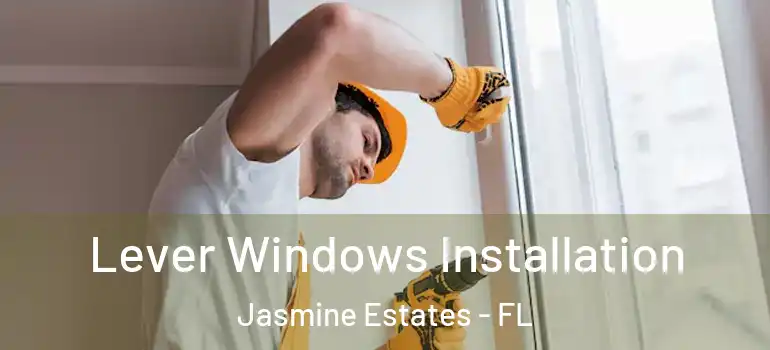 Lever Windows Installation Jasmine Estates - FL