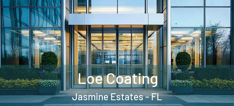 Loe Coating Jasmine Estates - FL