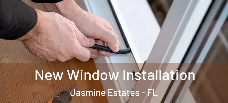 New Window Installation Jasmine Estates - FL