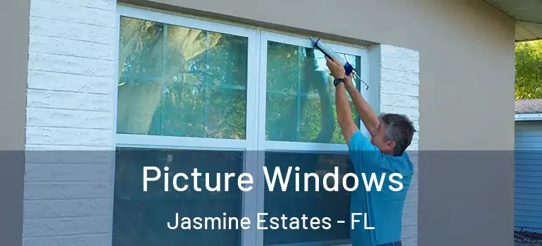 Picture Windows Jasmine Estates - FL