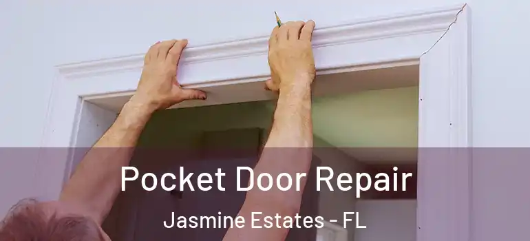 Pocket Door Repair Jasmine Estates - FL
