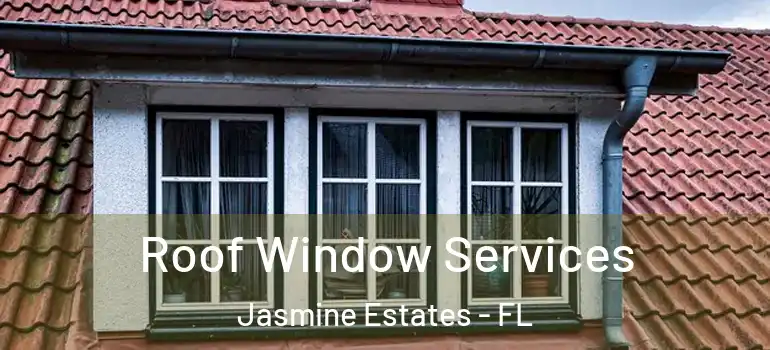 Roof Window Services Jasmine Estates - FL