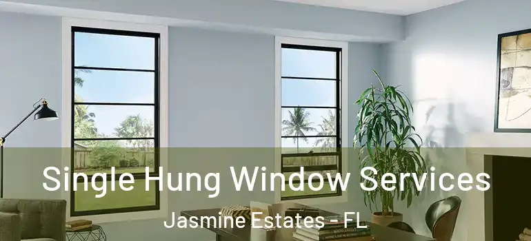 Single Hung Window Services Jasmine Estates - FL