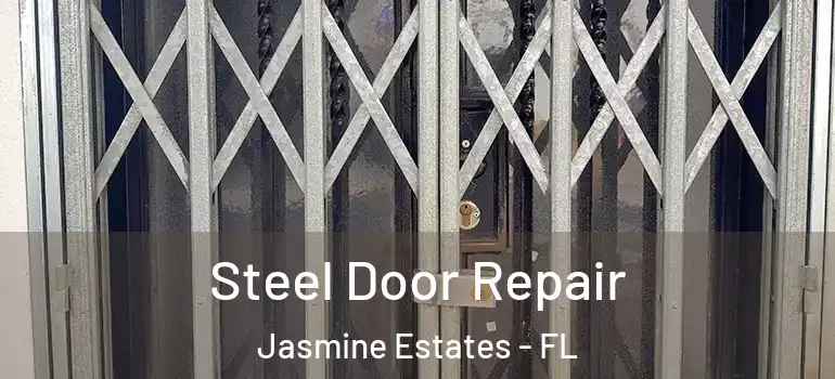 Steel Door Repair Jasmine Estates - FL