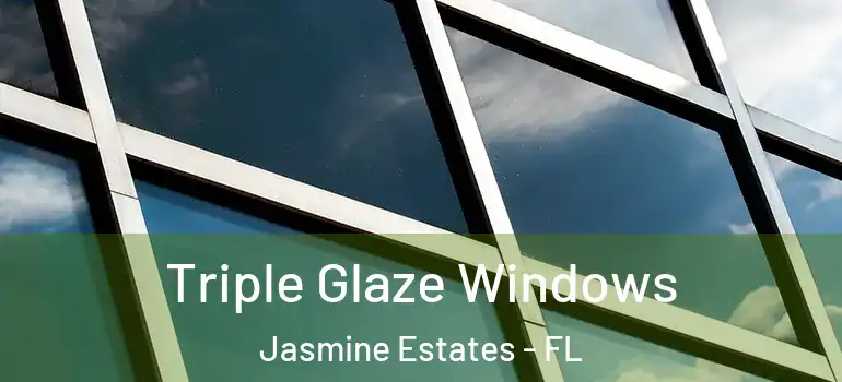 Triple Glaze Windows Jasmine Estates - FL