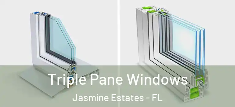 Triple Pane Windows Jasmine Estates - FL