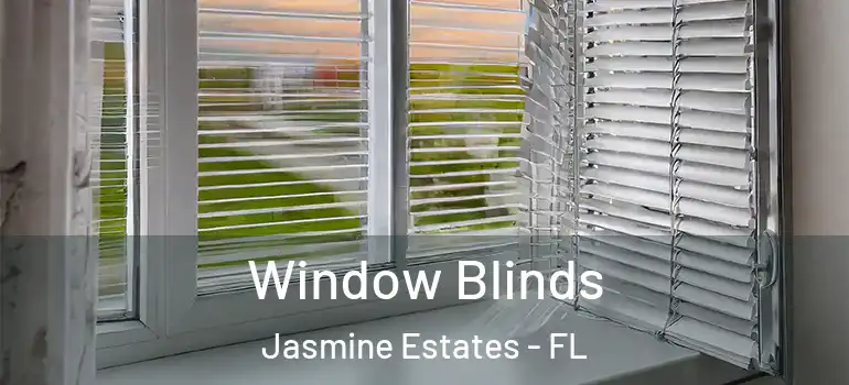 Window Blinds Jasmine Estates - FL