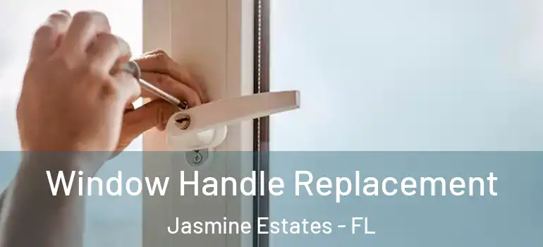 Window Handle Replacement Jasmine Estates - FL