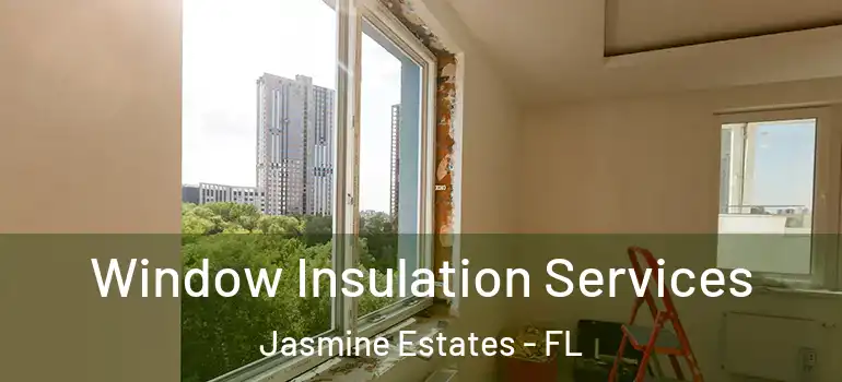 Window Insulation Services Jasmine Estates - FL