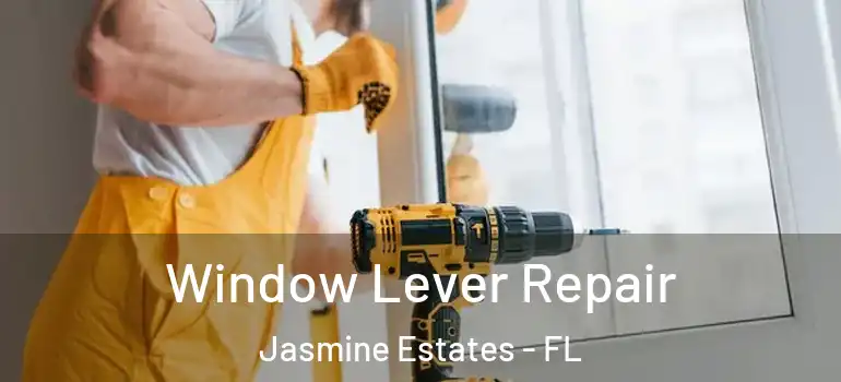 Window Lever Repair Jasmine Estates - FL