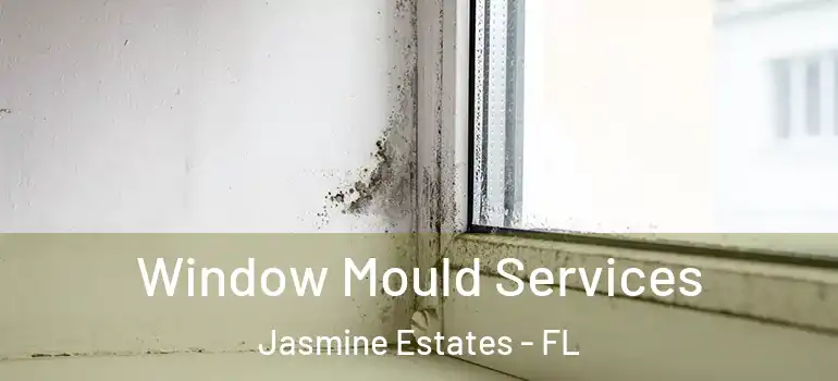 Window Mould Services Jasmine Estates - FL
