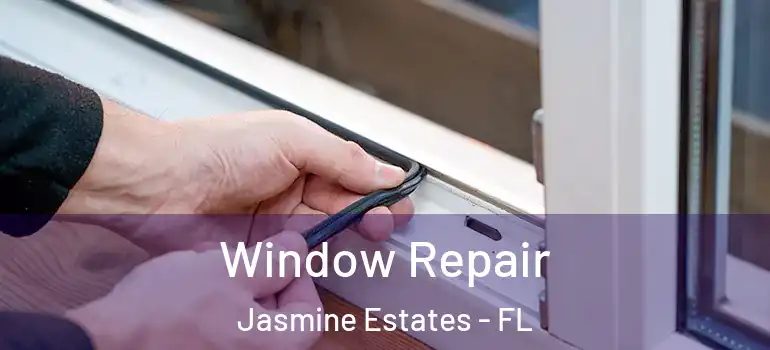 Window Repair Jasmine Estates - FL