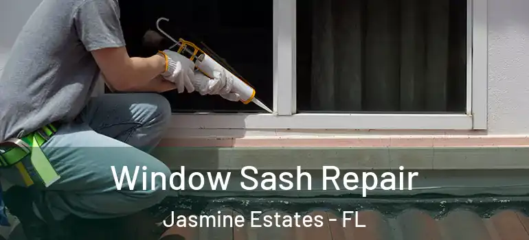 Window Sash Repair Jasmine Estates - FL