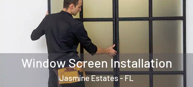 Window Screen Installation Jasmine Estates - FL