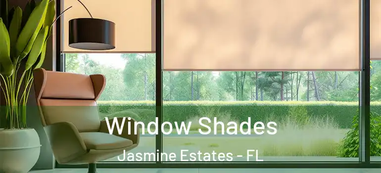 Window Shades Jasmine Estates - FL