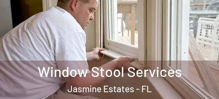 Window Stool Services Jasmine Estates - FL