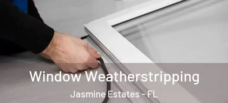 Window Weatherstripping Jasmine Estates - FL