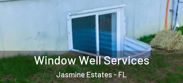 Window Well Services Jasmine Estates - FL